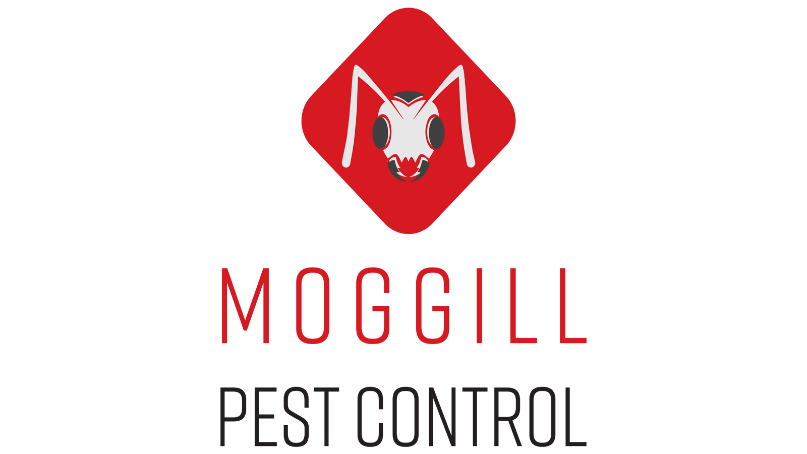 Pest Control service Brisbane-07
